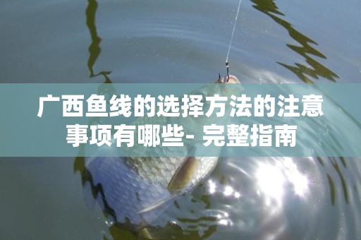 广西鱼线的选择方法的注意事项有哪些- 完整指南