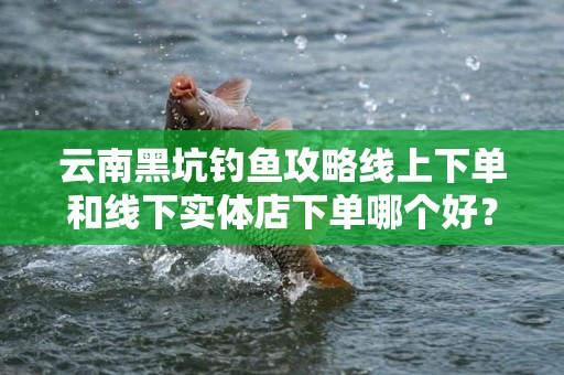 云南黑坑钓鱼攻略线上下单和线下实体店下单哪个好？