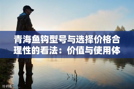 青海鱼钩型号与选择价格合理性的看法：价值与使用体验分析