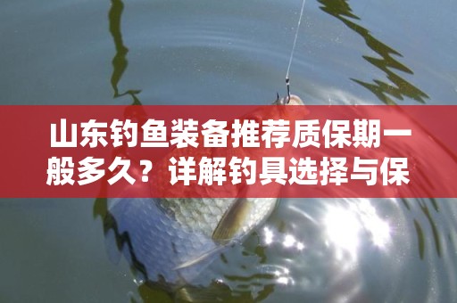 山东钓鱼装备推荐质保期一般多久？详解钓具选择与保障