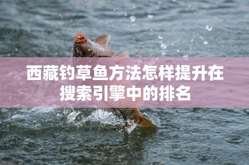 西藏钓草鱼方法怎样提升在搜索引擎中的排名