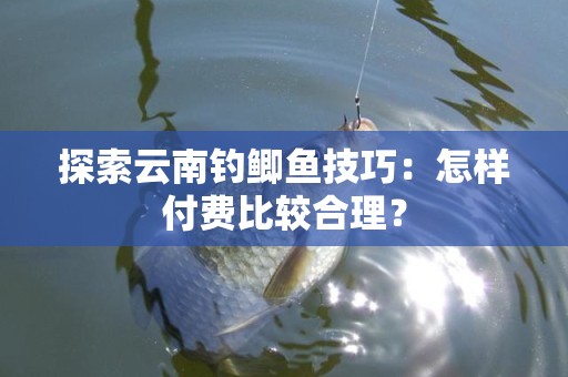 探索云南钓鲫鱼技巧：怎样付费比较合理？