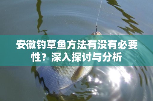 安徽钓草鱼方法有没有必要性？深入探讨与分析