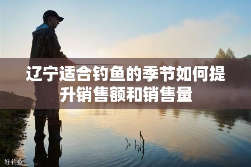 辽宁适合钓鱼的季节如何提升销售额和销售量