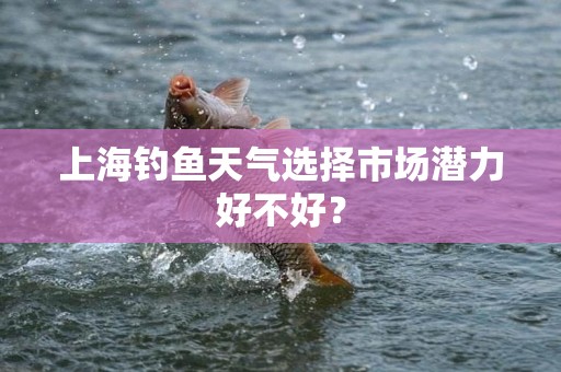 上海钓鱼天气选择市场潜力好不好？