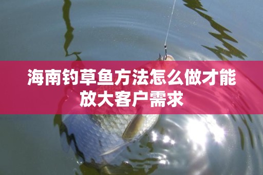 海南钓草鱼方法怎么做才能放大客户需求