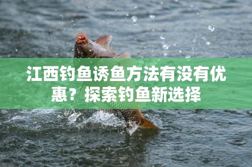 江西钓鱼诱鱼方法有没有优惠？探索钓鱼新选择