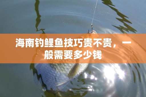 海南钓鲤鱼技巧贵不贵，一般需要多少钱