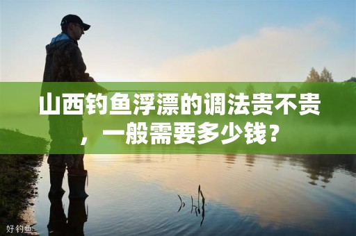 山西钓鱼浮漂的调法贵不贵，一般需要多少钱？
