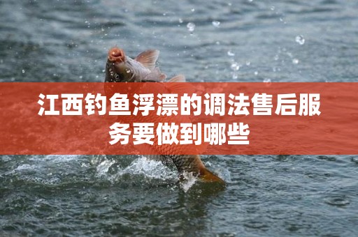 江西钓鱼浮漂的调法售后服务要做到哪些