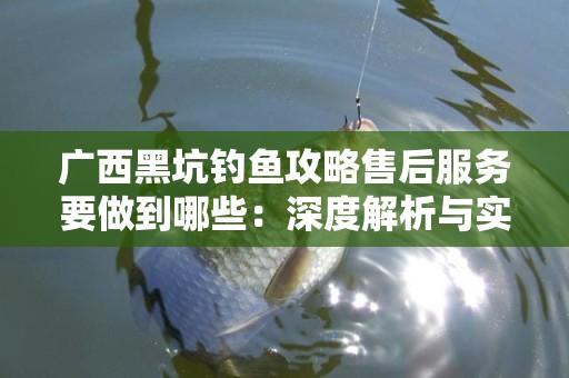 广西黑坑钓鱼攻略售后服务要做到哪些：深度解析与实用指南