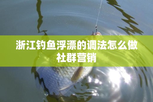 浙江钓鱼浮漂的调法怎么做社群营销