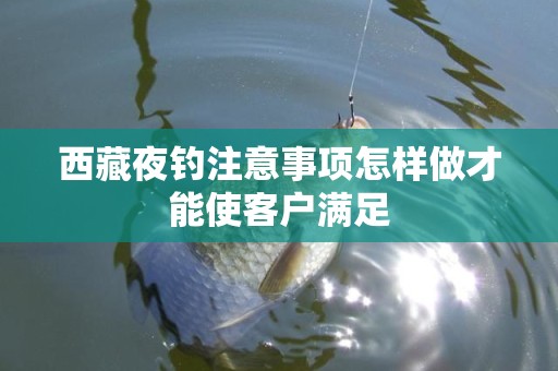 西藏夜钓注意事项怎样做才能使客户满足