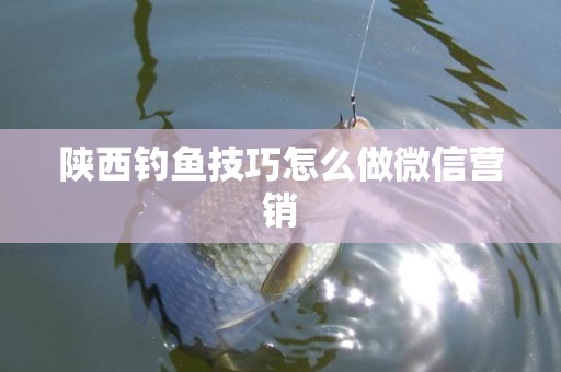 陕西钓鱼技巧怎么做微信营销