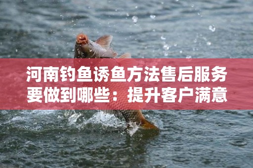 河南钓鱼诱鱼方法售后服务要做到哪些：提升客户满意度的关键