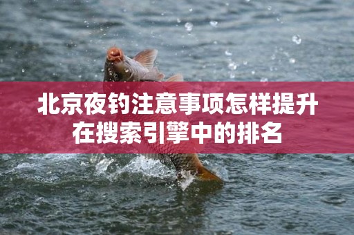 北京夜钓注意事项怎样提升在搜索引擎中的排名