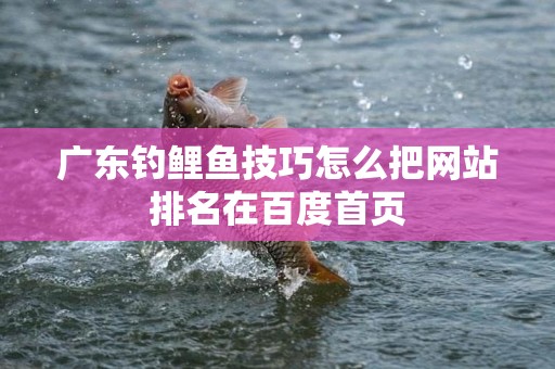 广东钓鲤鱼技巧怎么把网站排名在百度首页