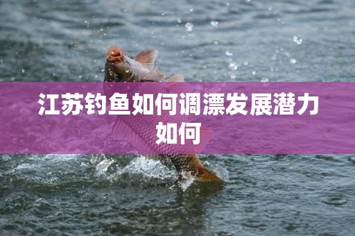 江苏钓鱼如何调漂发展潜力如何