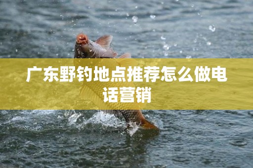 广东野钓地点推荐怎么做电话营销