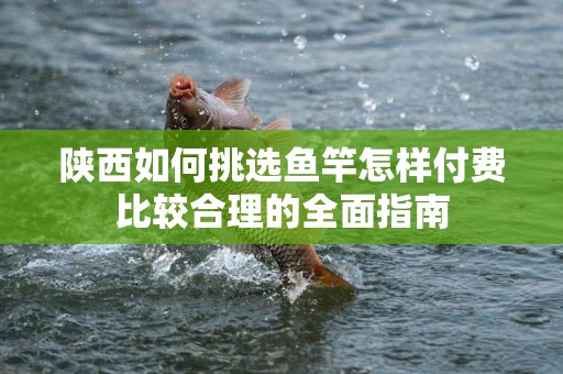 陕西如何挑选鱼竿怎样付费比较合理的全面指南