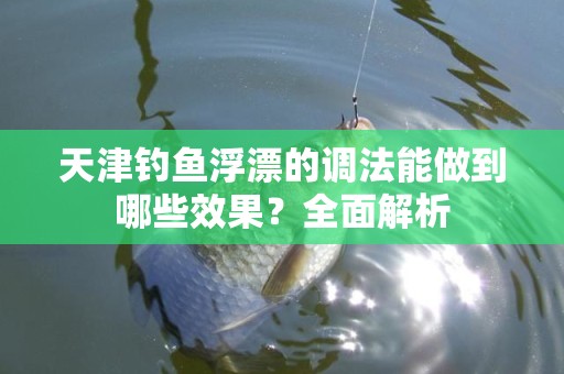 天津钓鱼浮漂的调法能做到哪些效果？全面解析