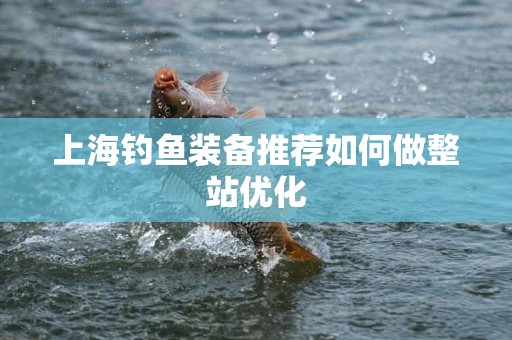 上海钓鱼装备推荐如何做整站优化