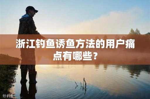 浙江钓鱼诱鱼方法的用户痛点有哪些？