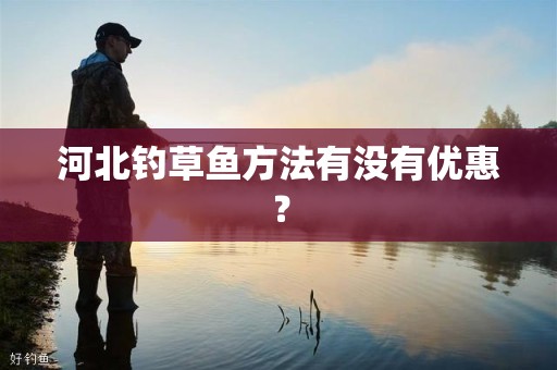 河北钓草鱼方法有没有优惠？