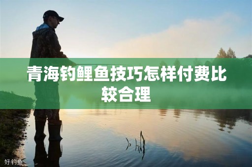 青海钓鲤鱼技巧怎样付费比较合理