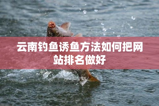 云南钓鱼诱鱼方法如何把网站排名做好