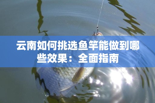 云南如何挑选鱼竿能做到哪些效果：全面指南