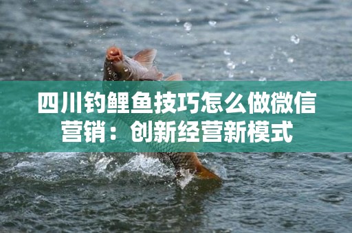 四川钓鲤鱼技巧怎么做微信营销：创新经营新模式