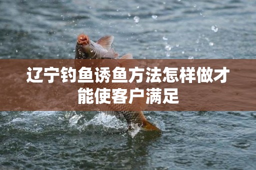 辽宁钓鱼诱鱼方法怎样做才能使客户满足