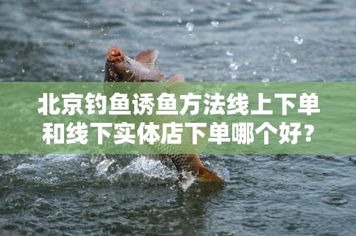 北京钓鱼诱鱼方法线上下单和线下实体店下单哪个好？