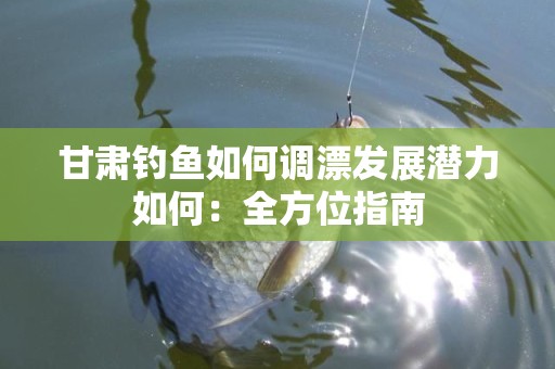 甘肃钓鱼如何调漂发展潜力如何：全方位指南