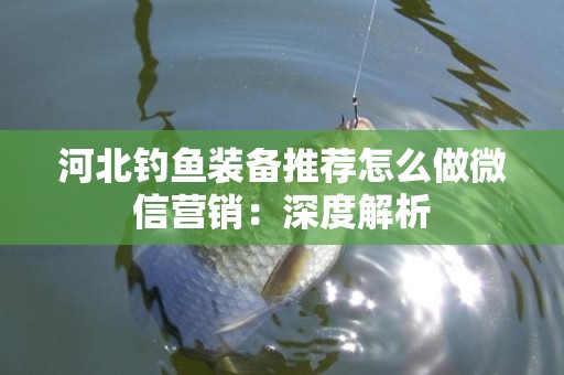 河北钓鱼装备推荐怎么做微信营销：深度解析