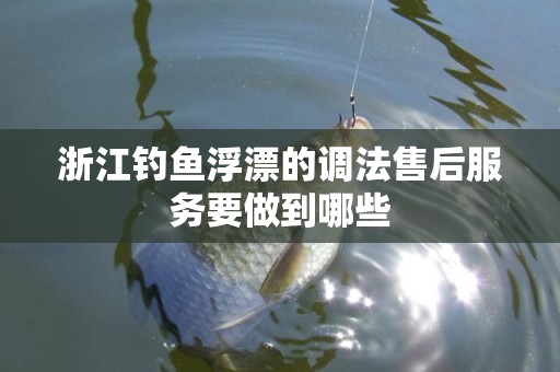 浙江钓鱼浮漂的调法售后服务要做到哪些