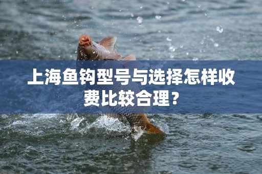 上海鱼钩型号与选择怎样收费比较合理？