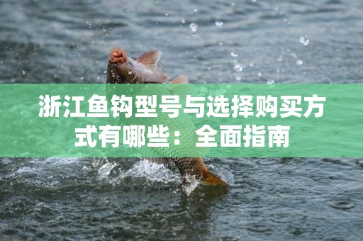 浙江鱼钩型号与选择购买方式有哪些：全面指南