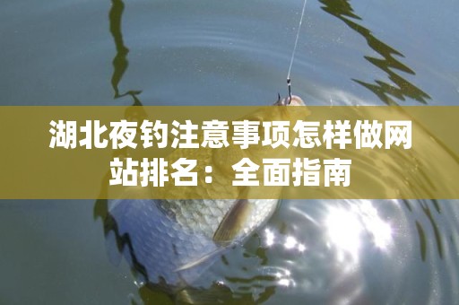 湖北夜钓注意事项怎样做网站排名：全面指南