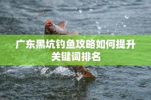 广东黑坑钓鱼攻略如何提升关键词排名