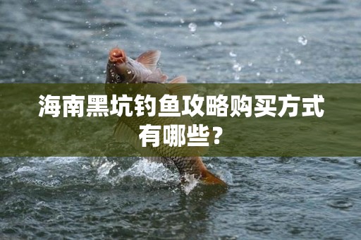 海南黑坑钓鱼攻略购买方式有哪些？