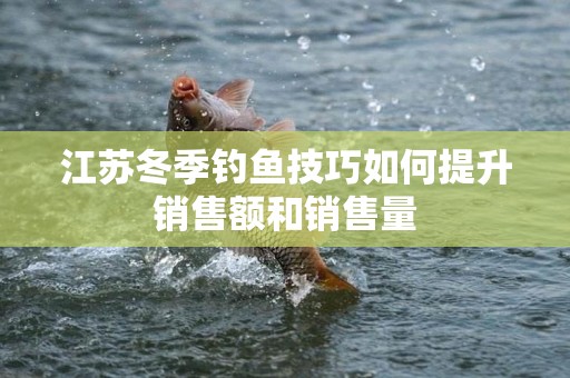 江苏冬季钓鱼技巧如何提升销售额和销售量