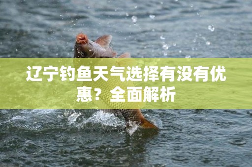 辽宁钓鱼天气选择有没有优惠？全面解析