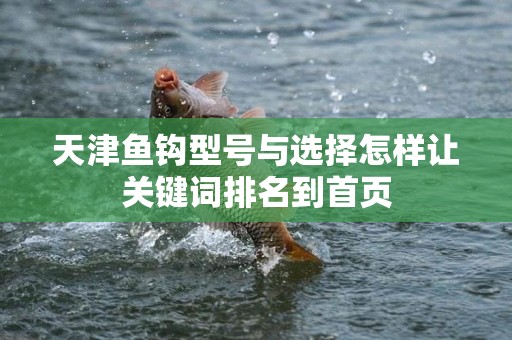 天津鱼钩型号与选择怎样让关键词排名到首页