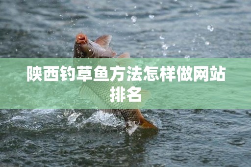 陕西钓草鱼方法怎样做网站排名