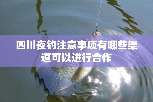 四川夜钓注意事项有哪些渠道可以进行合作