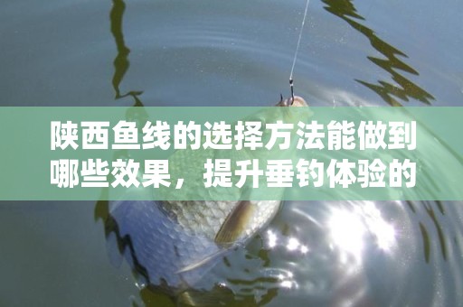 陕西鱼线的选择方法能做到哪些效果，提升垂钓体验的关键因素