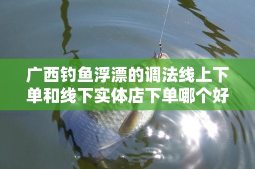 广西钓鱼浮漂的调法线上下单和线下实体店下单哪个好？