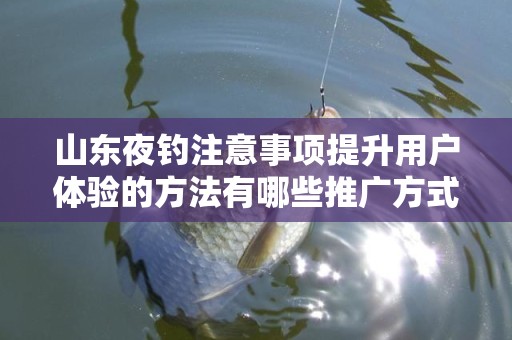 山东夜钓注意事项提升用户体验的方法有哪些推广方式有哪些